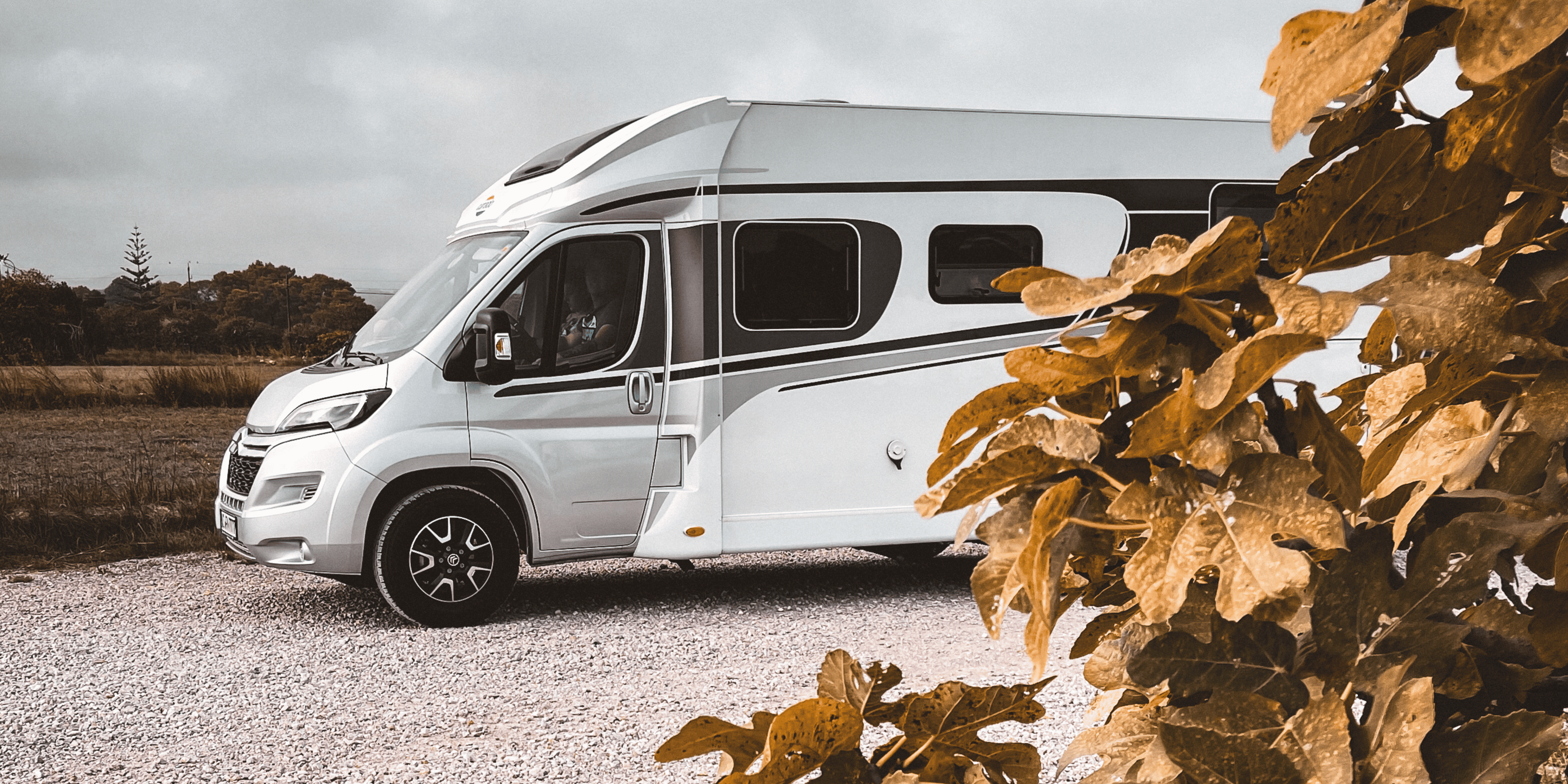 social media camping