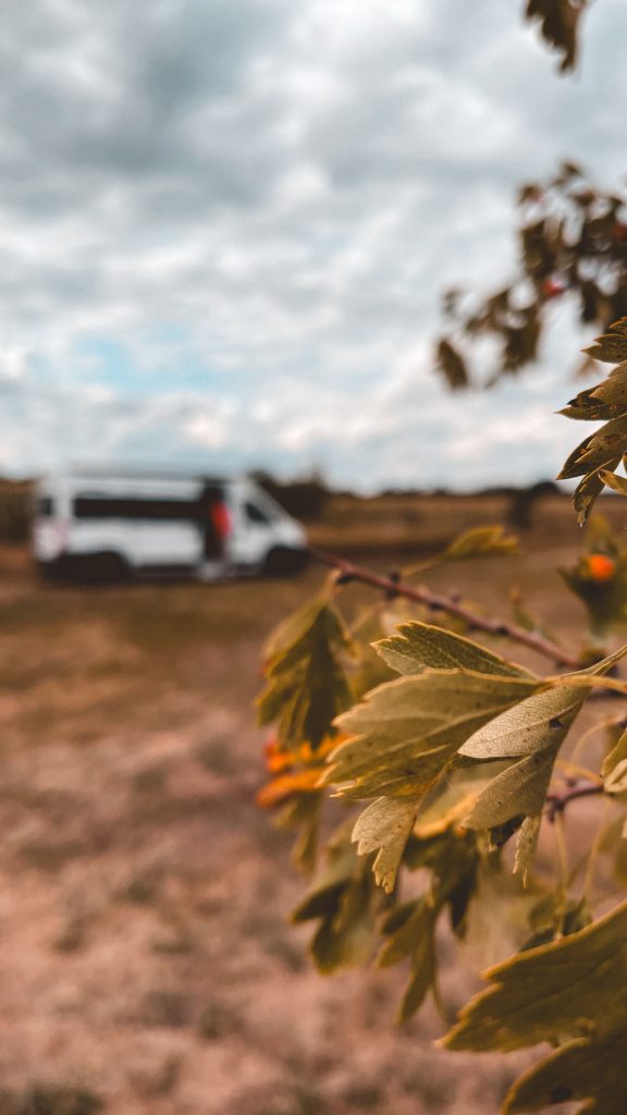 oliventure media camping van social onlinemarketing