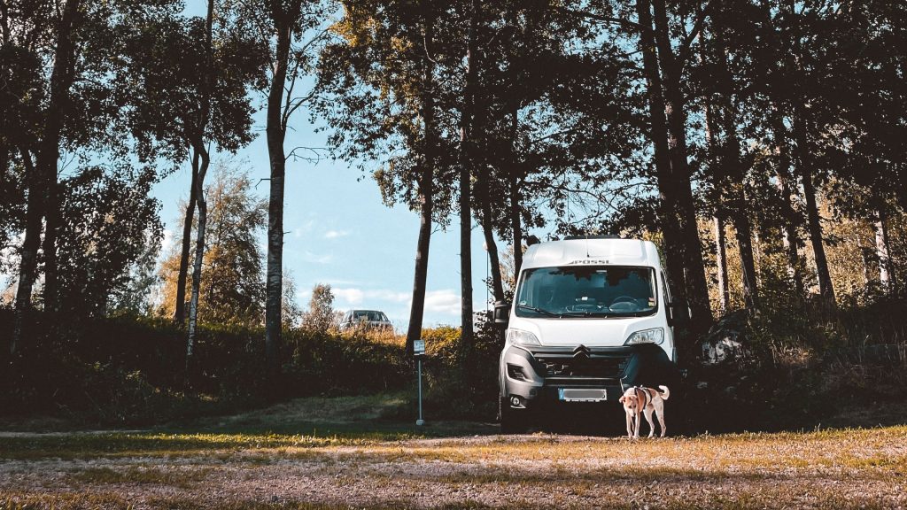 Content für Campingmarken, Reels für Campingplätze, Bilder für Van-Ausbau, Social Content Outdoor, kastenwagen oder wohnmobil mit hund in Schweden