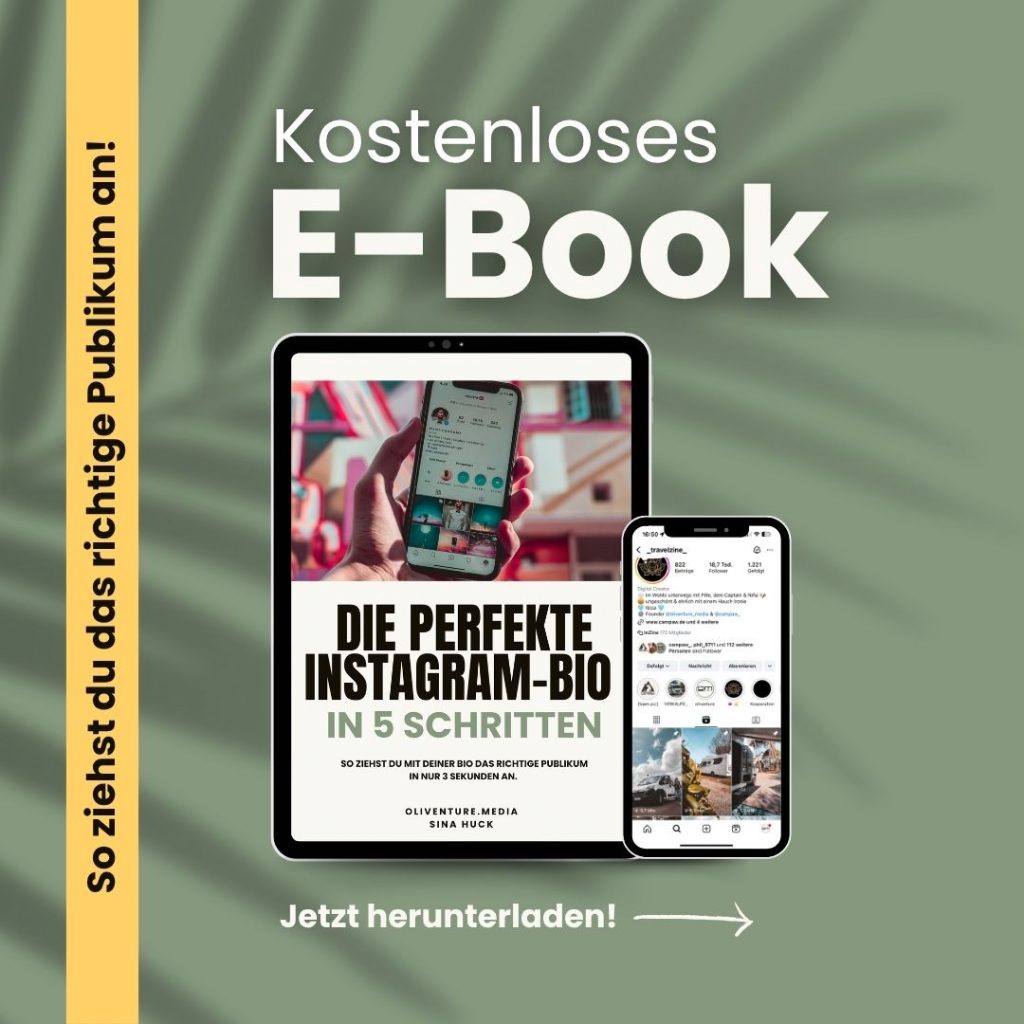 ebook-kostenlos-perfekte-Instagram-bio
